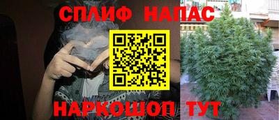 трава Моздок